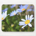 Blue Marguerite Flowers Mousepad