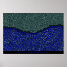 Blue Melon Coast Print