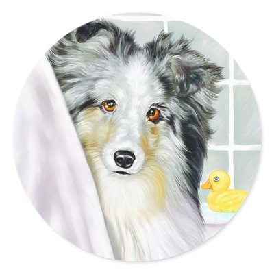 Blue Merle Sheltie Bath by DanesRUs