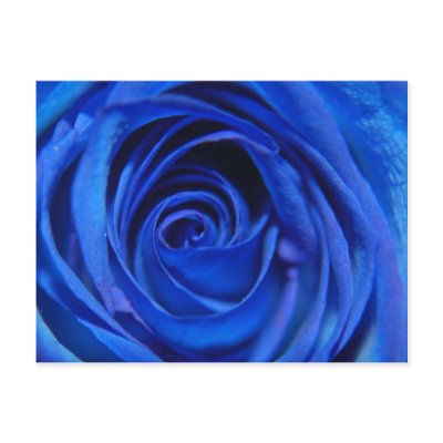 Blue Moon Post Cards by Pippie1496