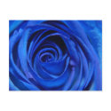 Blue Moon postcards