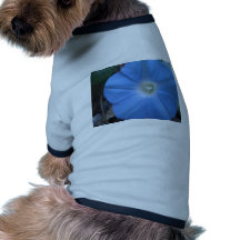 Blue Morning Glory Pet Clothing