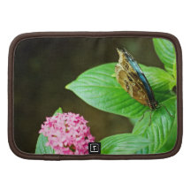 Blue Morpho 143 Folio Planner