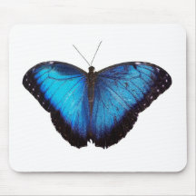 Blue Morpho Butterflie Mouse Pads