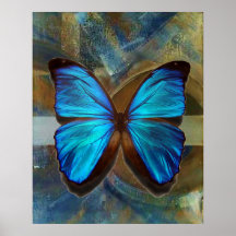 Blue Morpho Butterfly 2 Poster