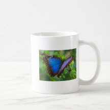 Blue Morpho Butterfly 5x7 Mug