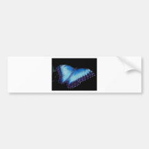 BLUE MORPHO Butterfly Bumper Sticker