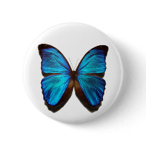 Blue Morpho Butterfly Buttons