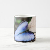 Blue Morpho Butterfly Coffee Mug