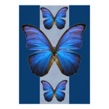 Blue Morpho Butterfly Invitations