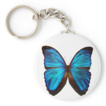 Blue Morpho Butterfly Keychain