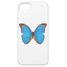 Blue Morpho Butterfly (Menelaus Blue Morpho, Morph