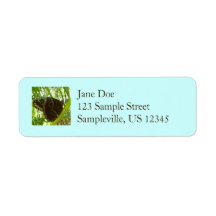 Blue Morpho Butterfly Return Address Label