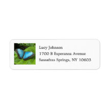 Blue Morpho Butterfly Return Address Labels