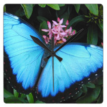 Blue Morpho Butterfly Wall Clock