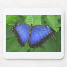 Blue Morpho Mousepad