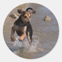 Blue Mountain Cure Round Sticker