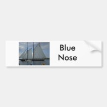 Blue Nose Bumper Sticker