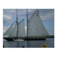Blue Nose Postcard
