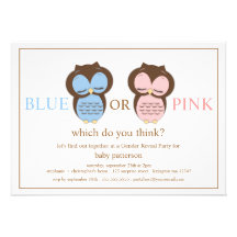 Blue or PInk Little Owls Baby Gender Reveal Party Custom Announcements