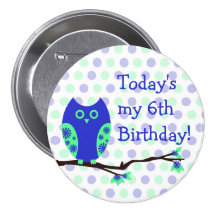 Blue Owl 6th Birthday Button