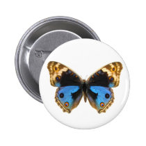 Blue Pansy Butterfly buttons