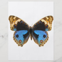 Blue Pansy Butterfly Flyers