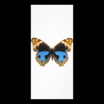 Blue Pansy Butterfly rack cards