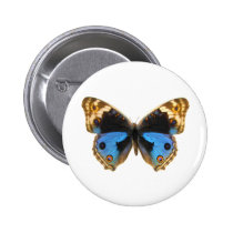 Blue Pansy Butterfly buttons