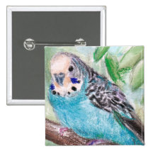 Blue Parakeet Button