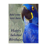 Blue Parrot_ Postcard