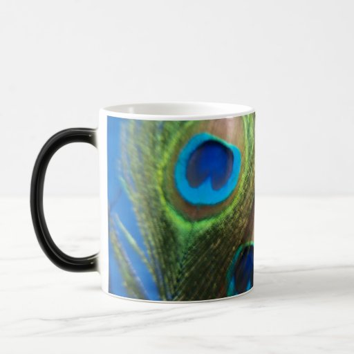 Blue Peacock Feathers Mugs