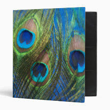 Blue Peacock Feathers Vinyl Binders