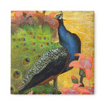Blue Peacock Refrigerator Magnets