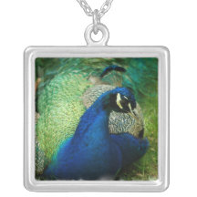 Blue Peacock Necklace