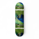 Blue Peacock Skateboard