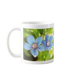 Blue Pimpernel (Anagallis monelli) Flowers Coffee Mugs