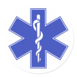 Blue Pink Aqua Baby Hot  Nurse EMS Star of Life stickers