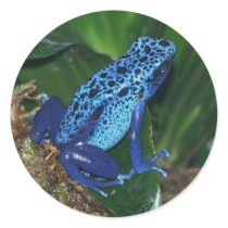 Blue Poison Arrow Frog Portrait Round Sticker