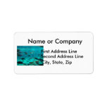 Blue pool of cichlids swimming around design custom address label