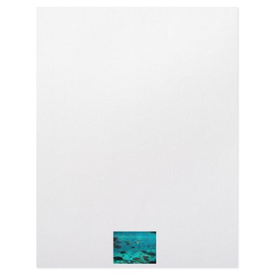 Blue pool of cichlids swimming around design customized letterhead by SusansZooCrew