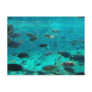 Blue pool of cichlids swimming around design postcards
