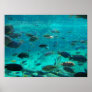 Blue pool of cichlids swimming around design print