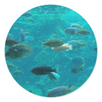 Blue pool of cichlids swimming around design sticker