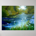 Blue Poppies Print
