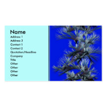 Blue Prairie Business Cards