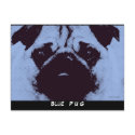 Blue Pug Dog Postcard ~ Pooch Pop Art