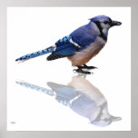 Blue Reflections posters