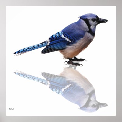 Blue Reflections Poster by DiDi_Higginbotham