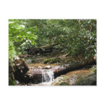 Blue Ridge Mountain Creek Post Card